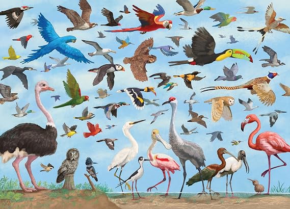 PETER PAUPER PRESS All The Birds 1000 Piece Jigsaw Puzzle