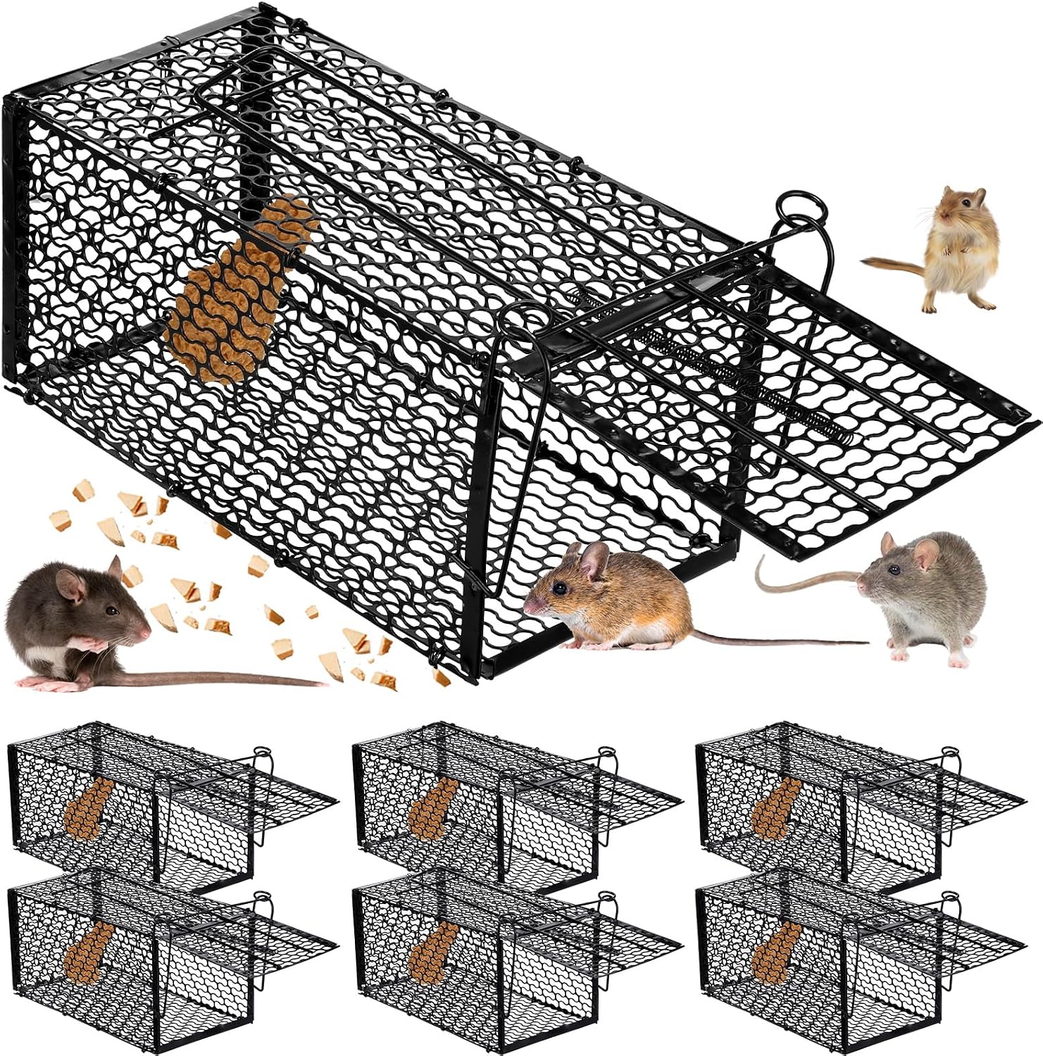 Qualirey 6 Pcs Humane Rat Trap Small Chipmunk Mouse Squirrel Cage Rodent Animal Mice Voles Hamsters Cage Catch and Release Trap for Home Garden Indoor Outdoor15.4 x 5.5 x 5.5 Inch