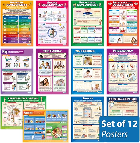 Daydream Education Child Development Posters - Set of 12 - EXTRA LARGE 33 x 23.5 - Gloss Paper - Child Development Middle & High School Classroom Decoration - Wall Charts