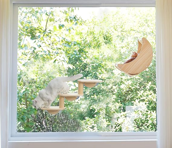 Moon Cat Window Perch with Suction Cups Ladder for Inside Cat Climbing,Playing and Sleeping