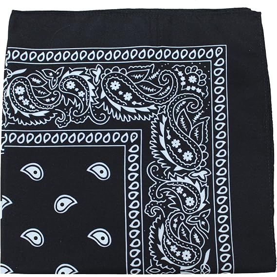 Balec Pack of 6 Paisley Cotton Bandanas Novelty Headwraps - 22 inches