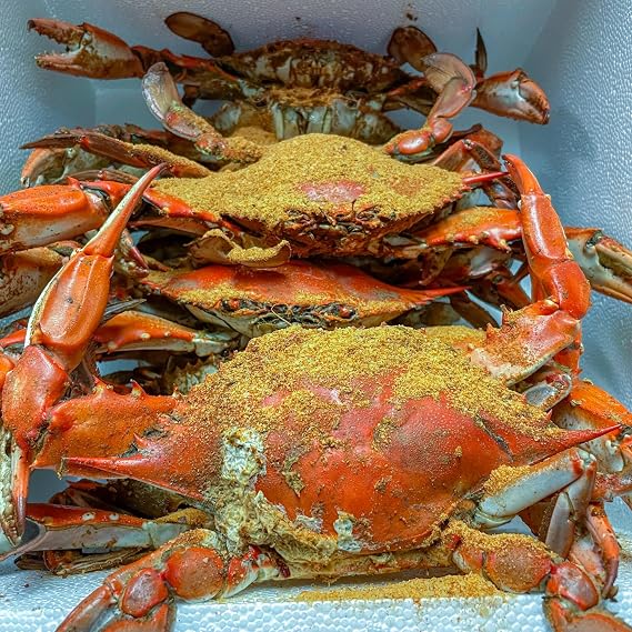 (1/2) Bushel Freshly Steamed Blue Crabs (1/2 Bushel Steamed Jumbo Male Crabs (6-7 Inches))