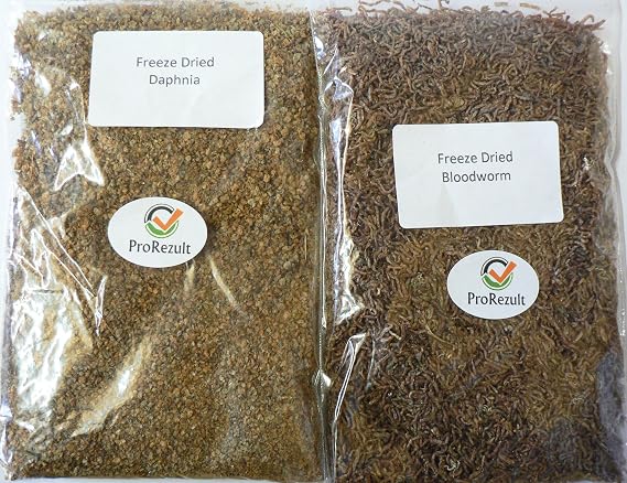 Freeze Dried Bloodworm and Daphnia Twin Pack Aquarium Tropical Fish Food
